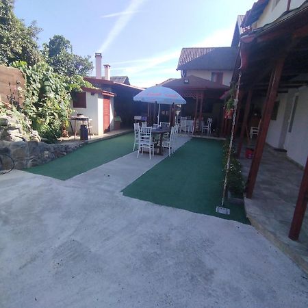 La Zinculescu Albestii Paminteni Exterior foto
