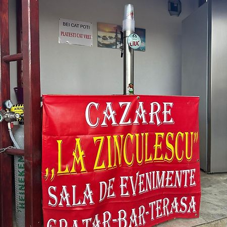 La Zinculescu Albestii Paminteni Exterior foto