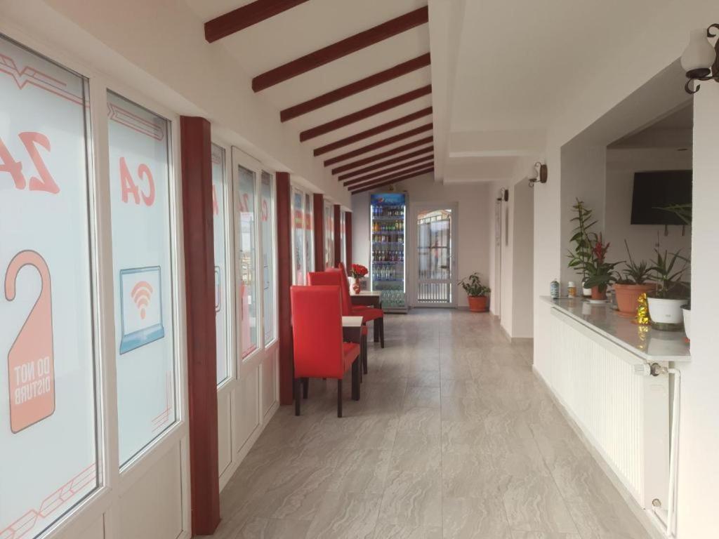 La Zinculescu Albestii Paminteni Exterior foto