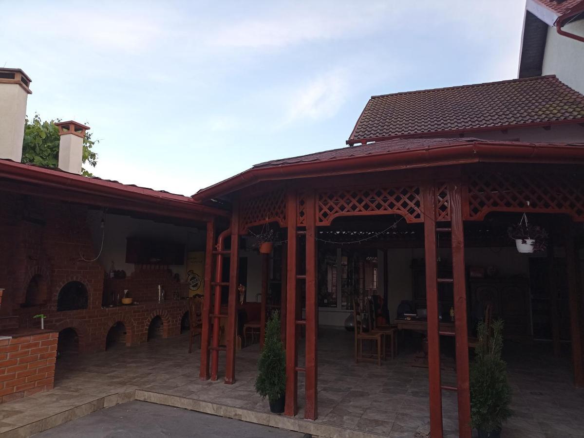 La Zinculescu Albestii Paminteni Exterior foto
