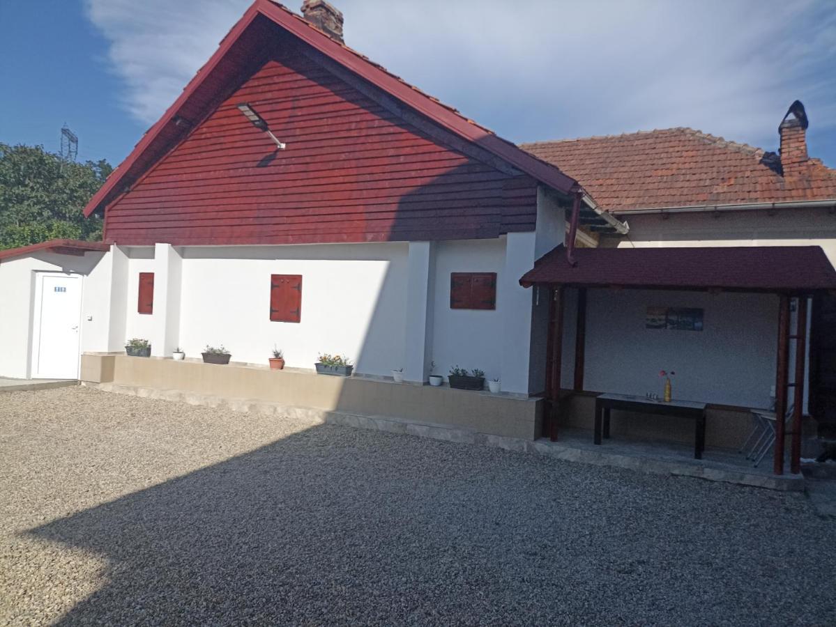 La Zinculescu Albestii Paminteni Exterior foto