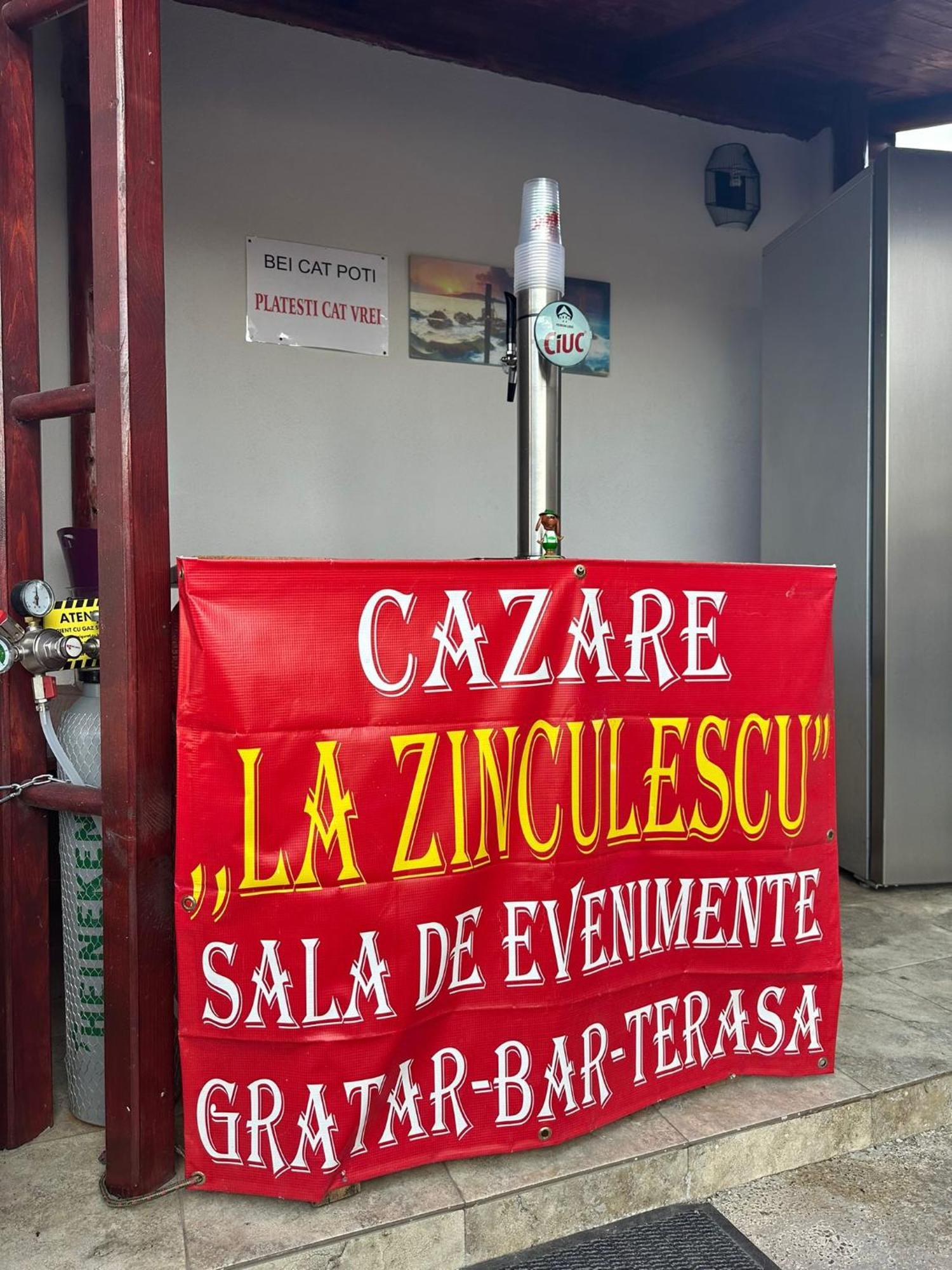 La Zinculescu Albestii Paminteni Exterior foto